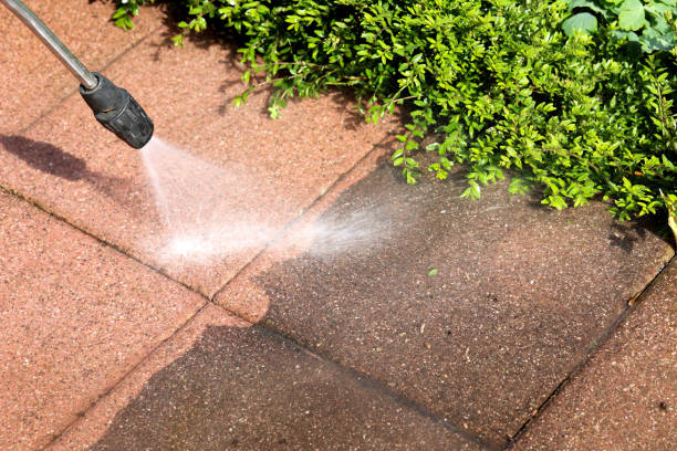 Best Best Pressure Washing Companies  in La Plata, MD