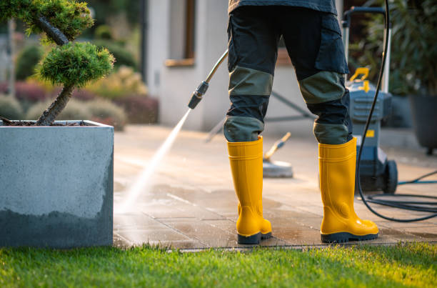 Best Power Washing Near Me  in La Plata, MD